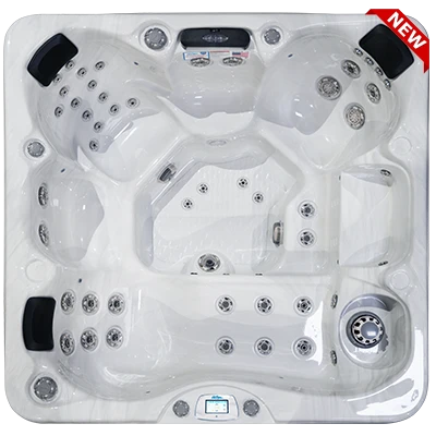 Avalon-X EC-849LX hot tubs for sale in Colorado
